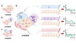 Higher-order Graph Convolutional Network with Flower-Petals Laplacians on Simplicial Complexes